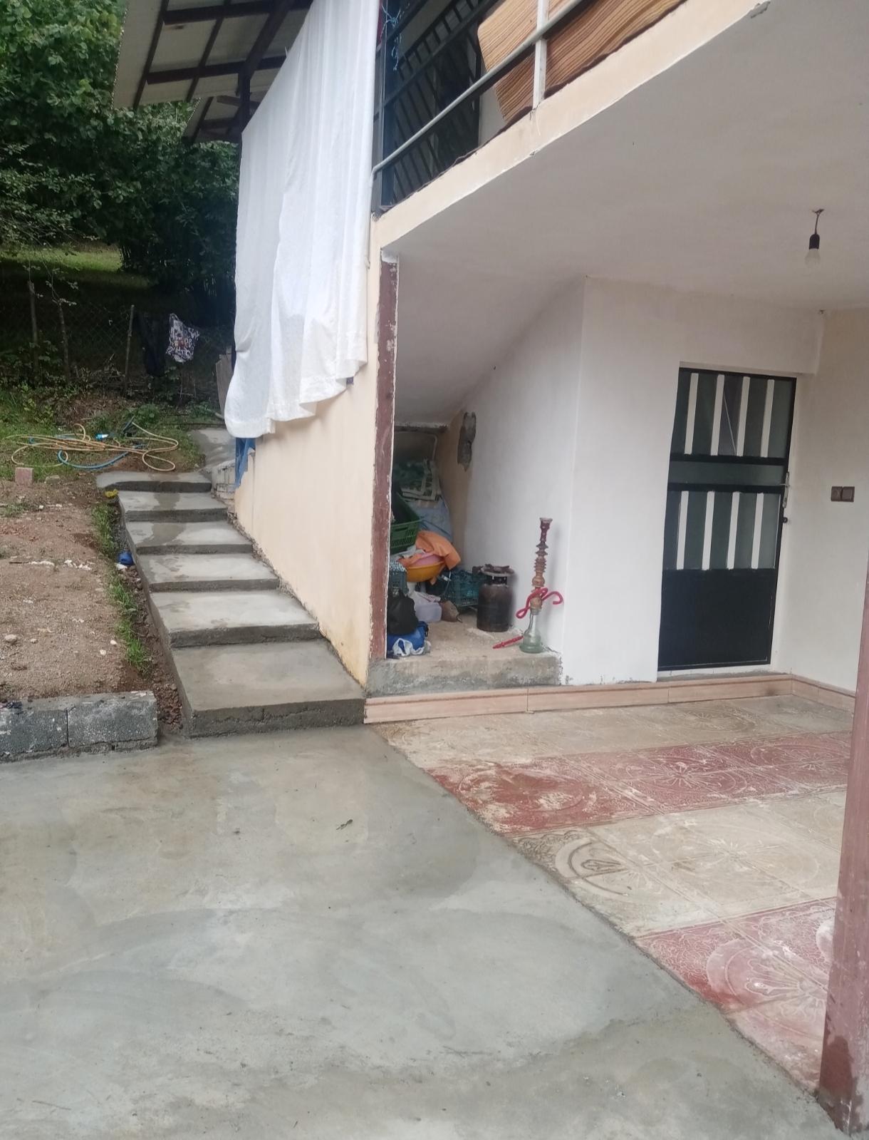 سوئیت روستایی جنگلی تک خوابه