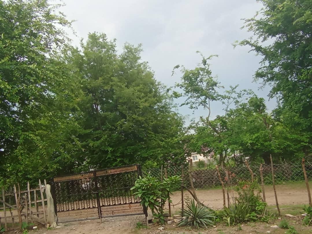 ویلای روستایی و جنگلی 