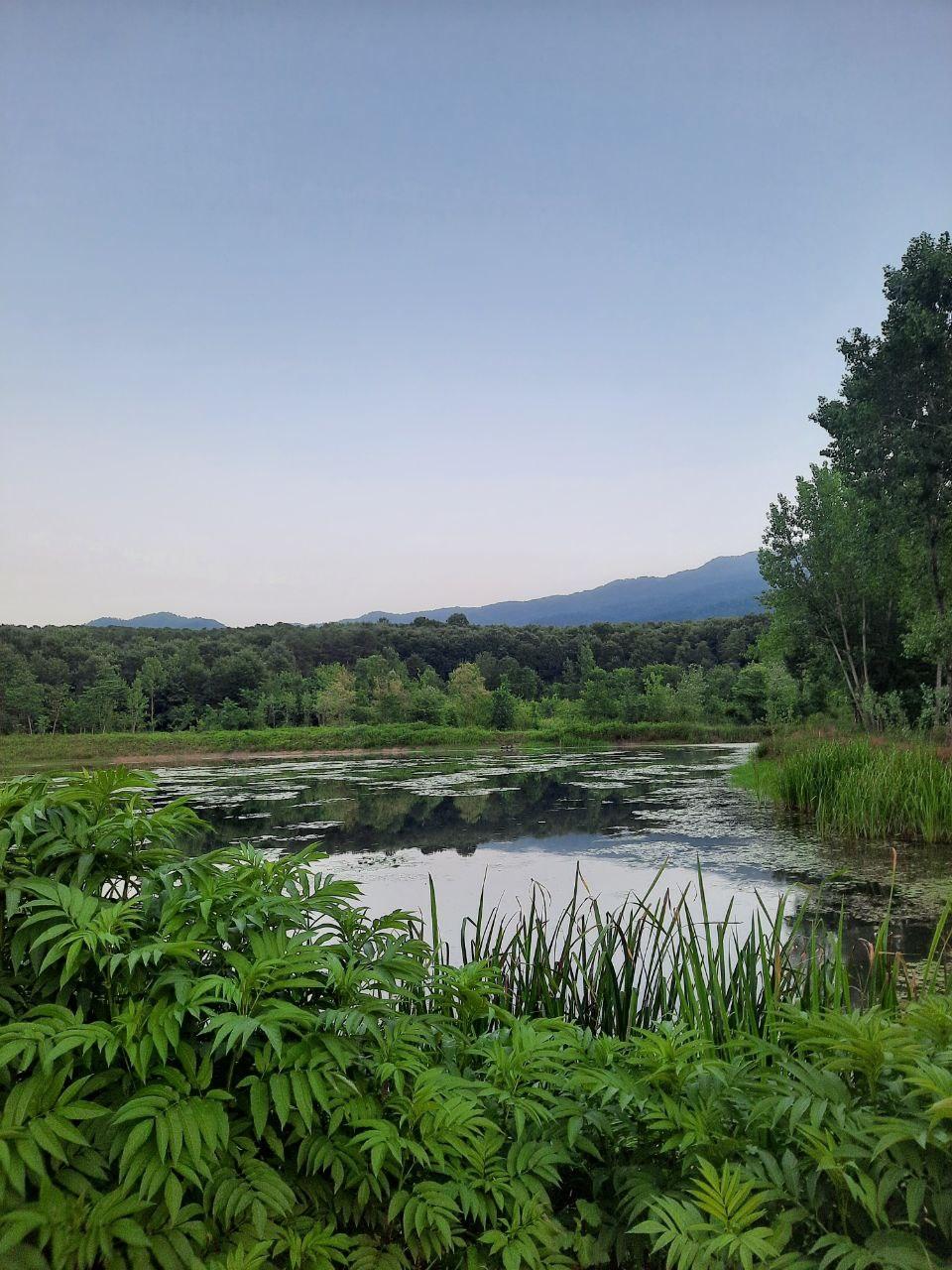 واحد مبله تک خواب روشنا