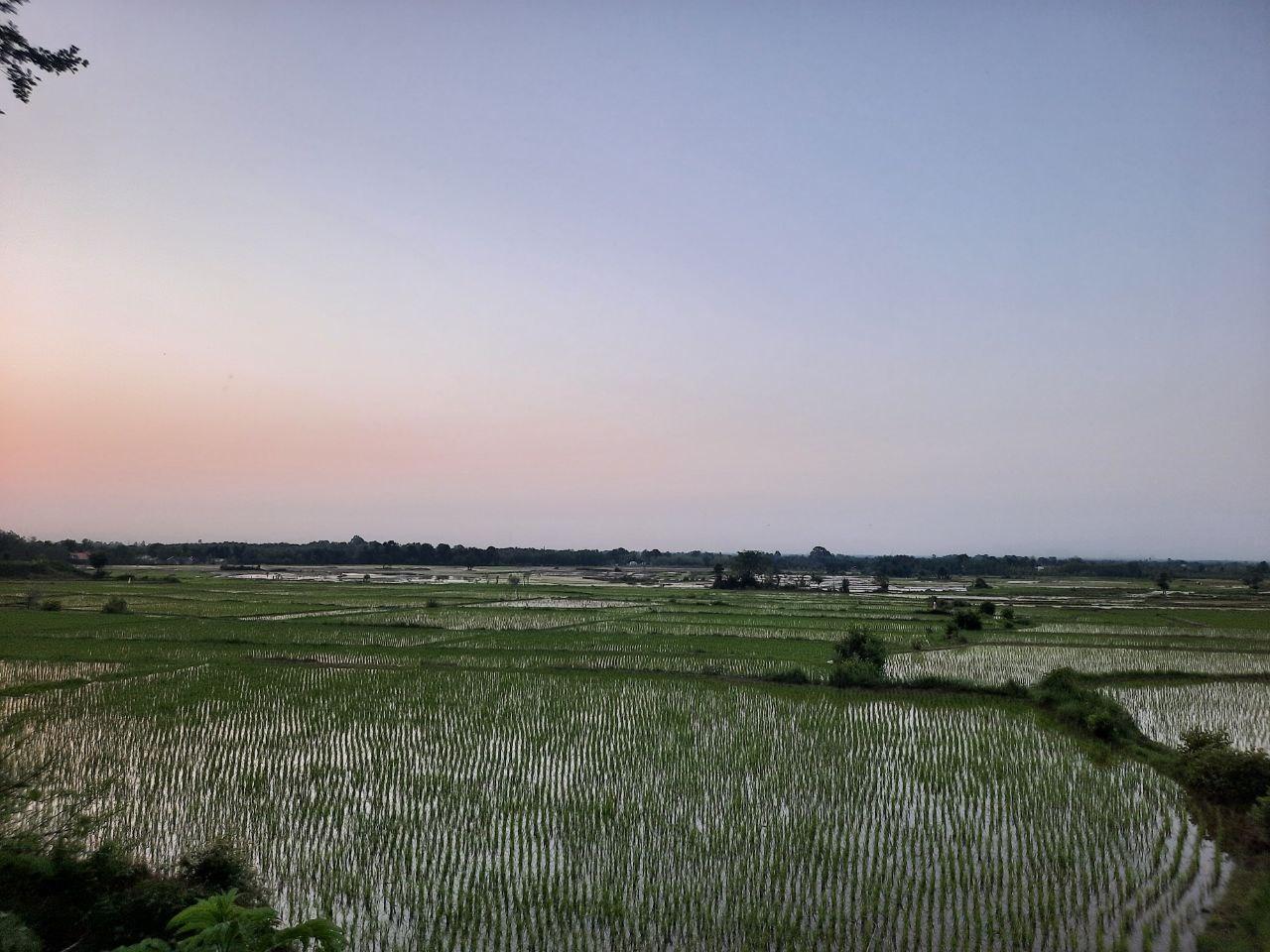 واحد مبله تک خواب روشنا