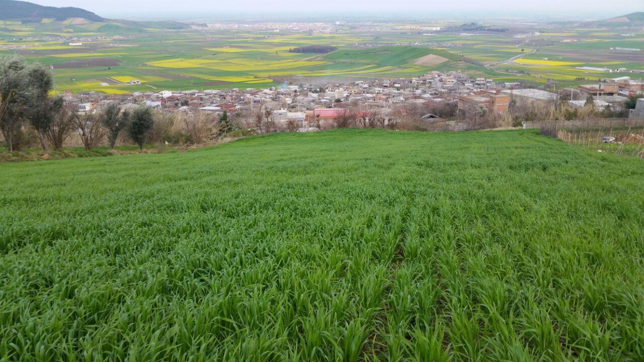 خانه روستایی