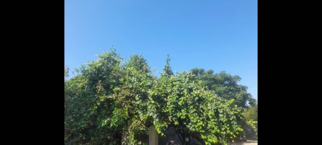 اقامتگاه کف خواب یزدان