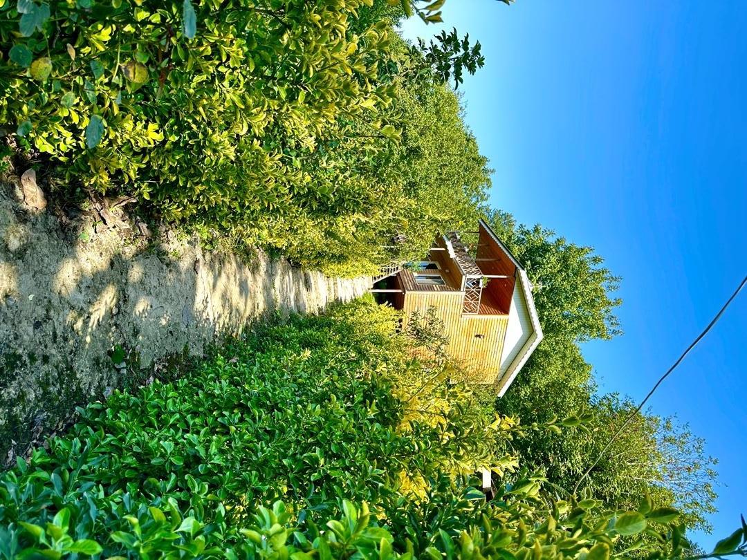 کلبه جنگلی دو خواب ماسال