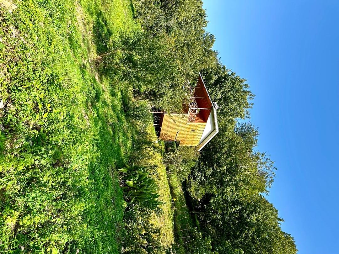 کلبه جنگلی دو خواب ماسال