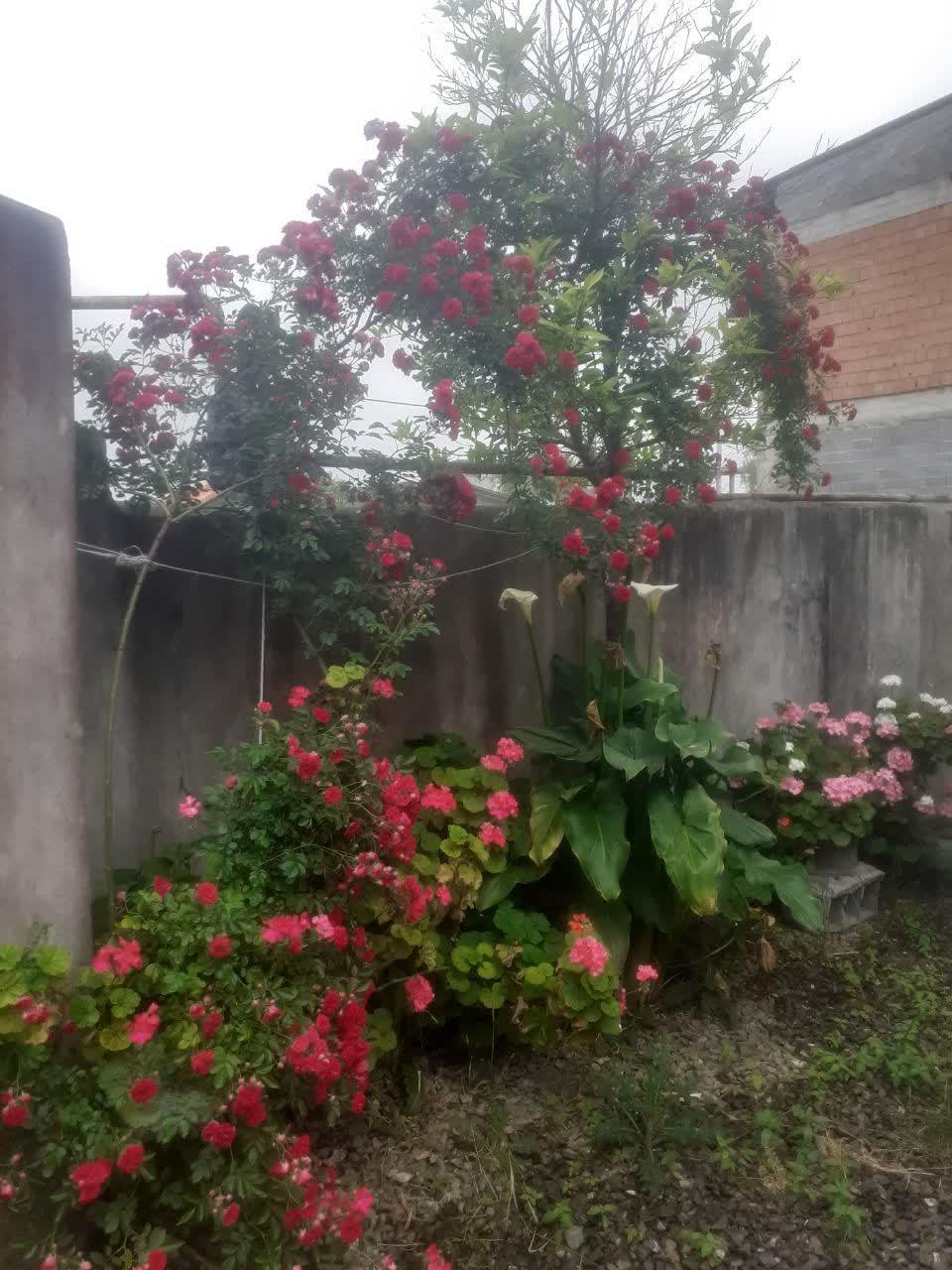 ویلای دو خوابه رستمرود