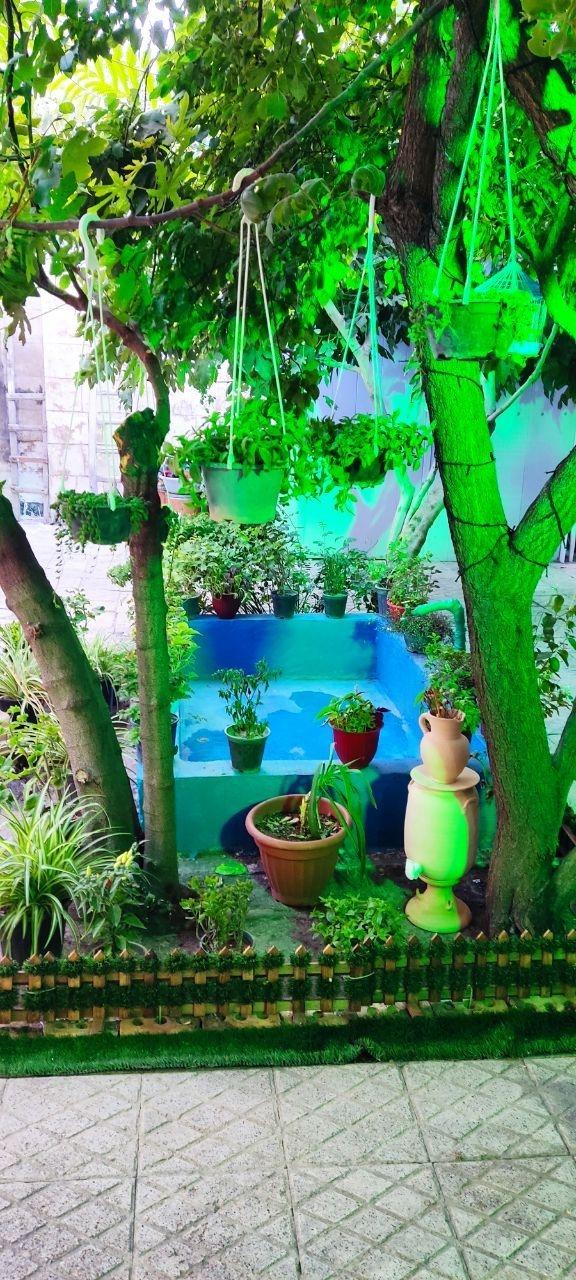 اجاره روزانه عمارت در مشهد