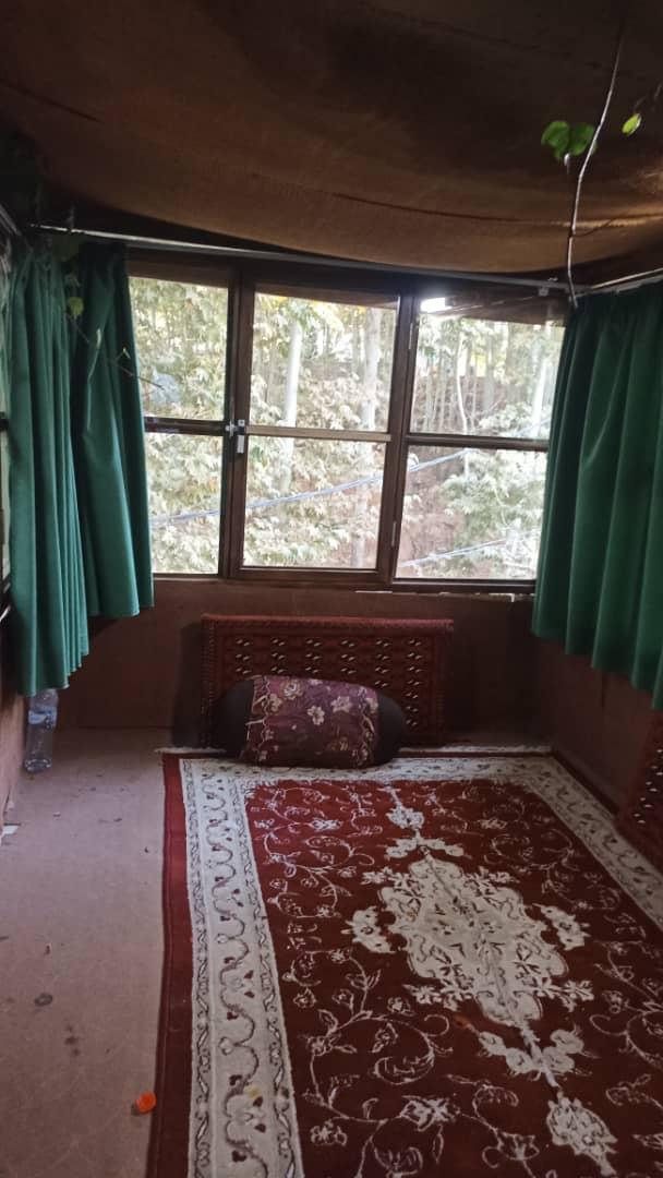 بومگردی جنگلی قلات 