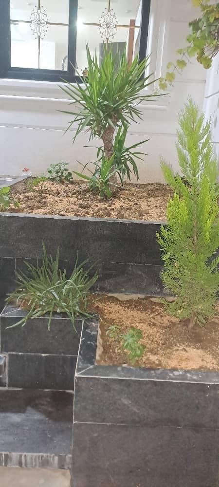 ویلا سه خواب لاکچری آسمان