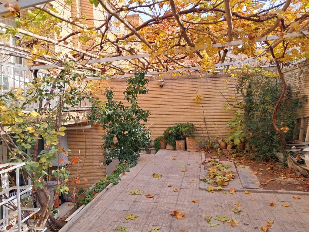 واحد تک خواب تمیز نیکنام