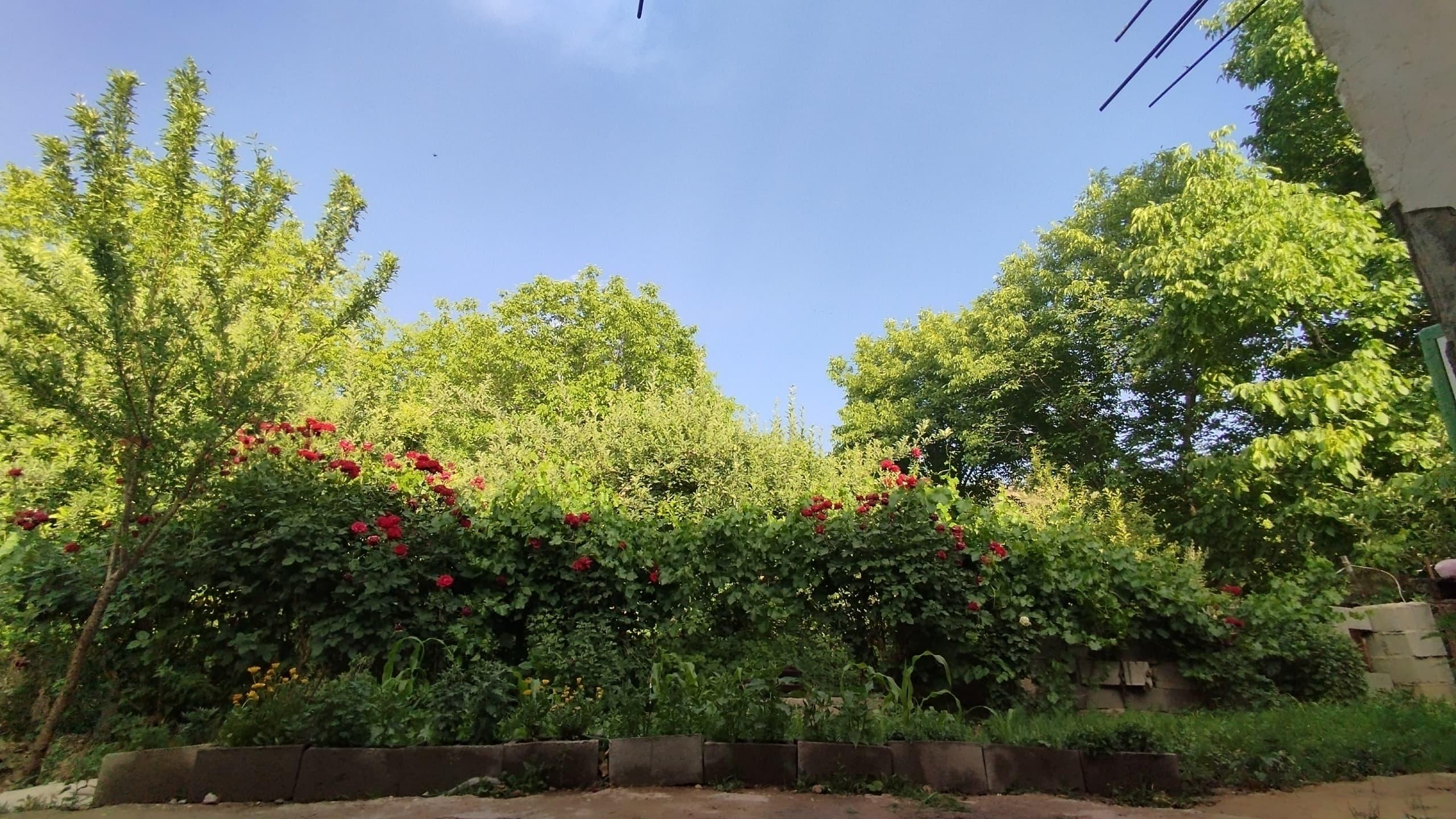 ویلایی تکخواب آرزو 