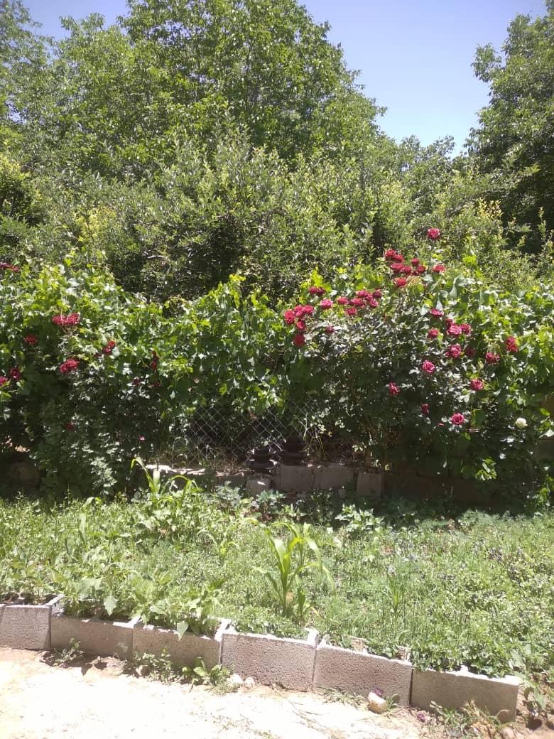 ویلایی تکخواب آرزو 