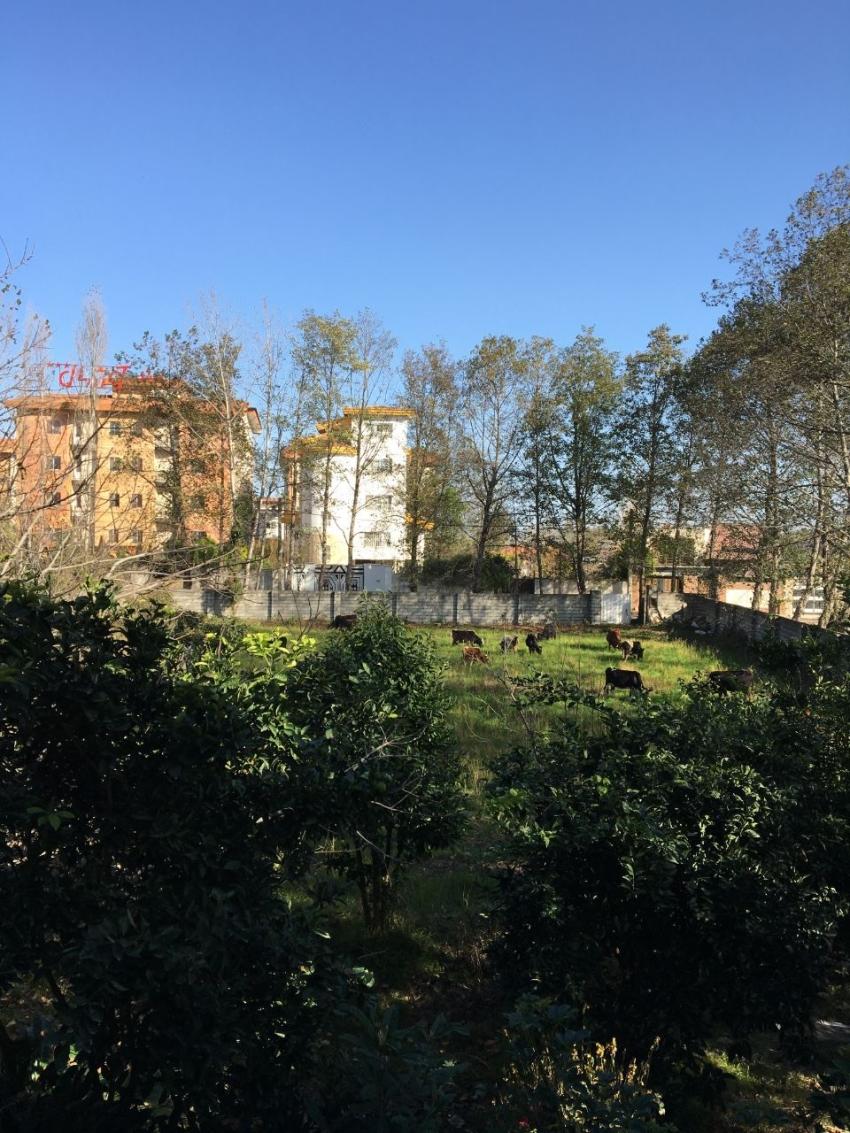 ویلا باغ دنج نیکوکار