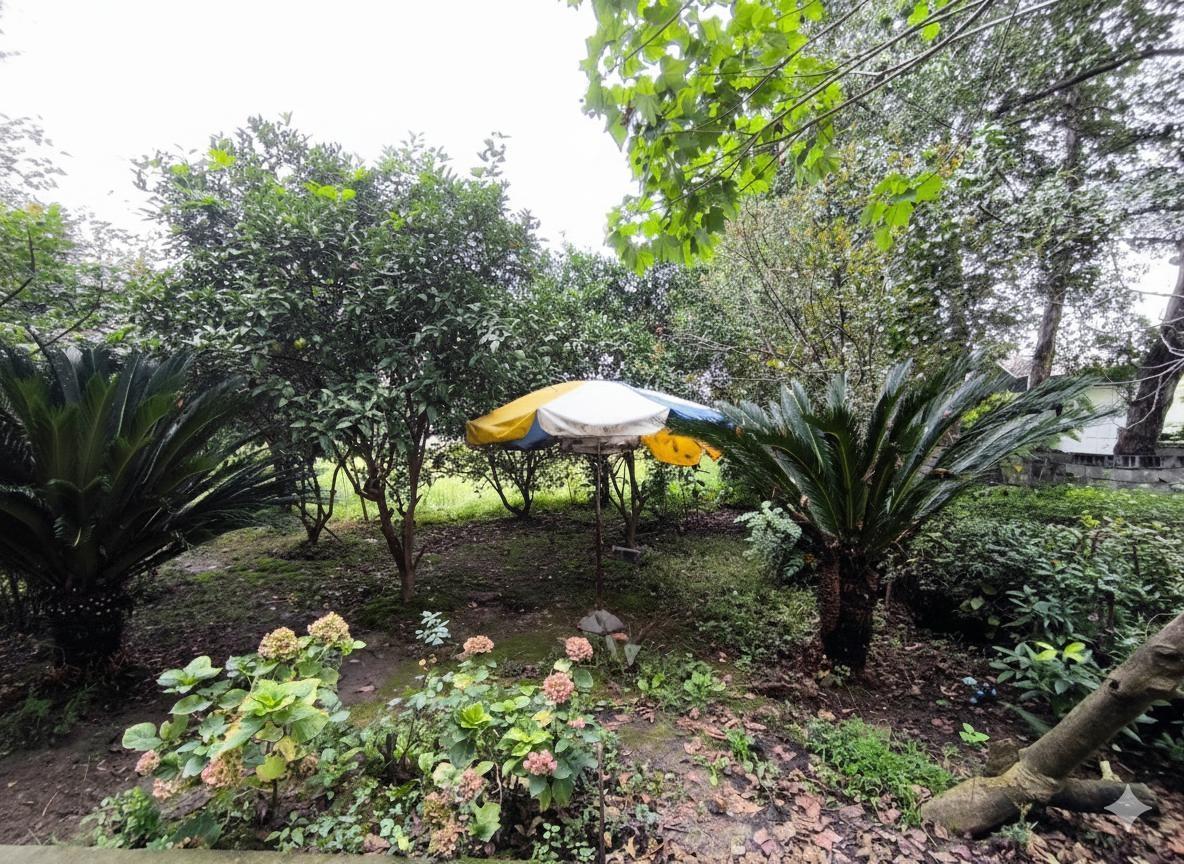 ویلا باغ دنج نیکوکار