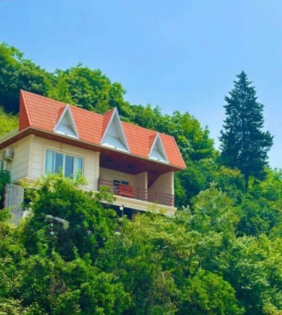 ویلای استخردار ویو جنگل