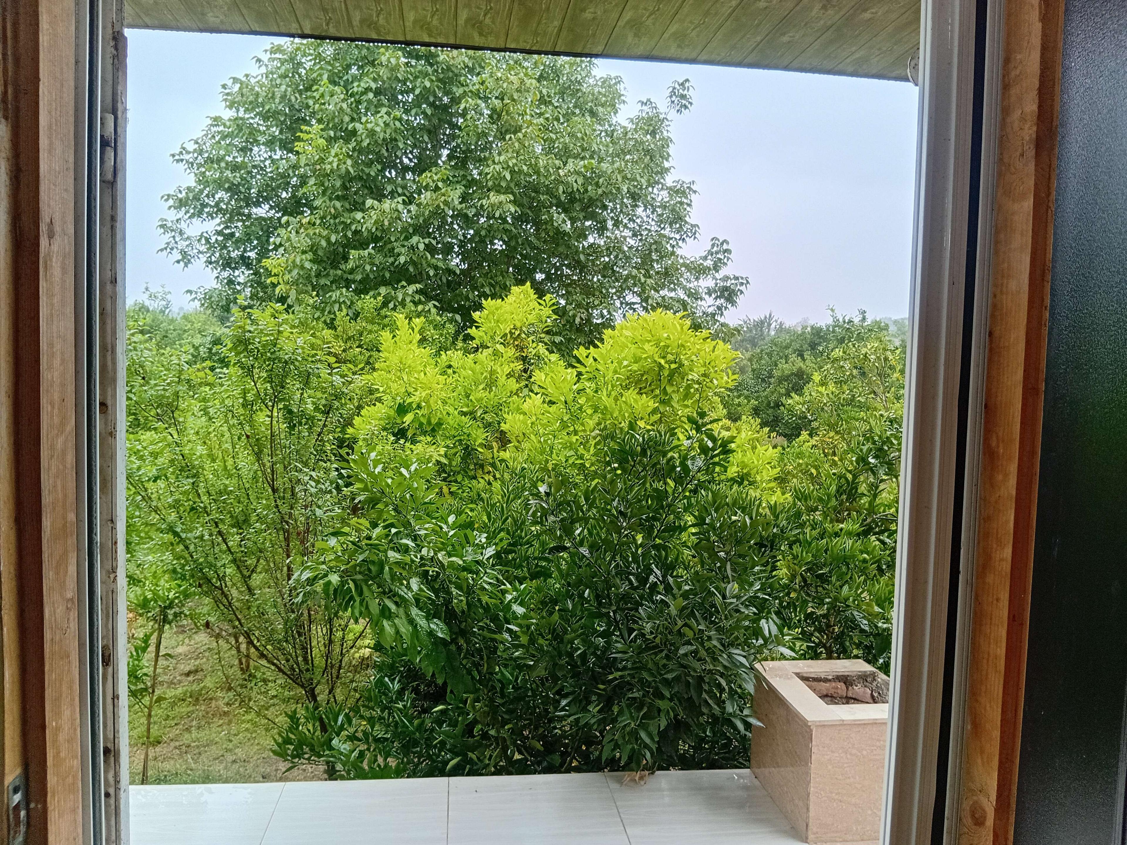 ویلای تک خوابه سرسبز