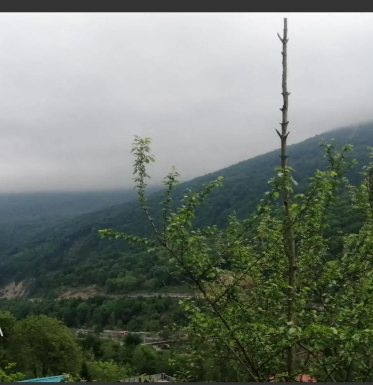 کلبه سوئیسی دوبلکس آلپ