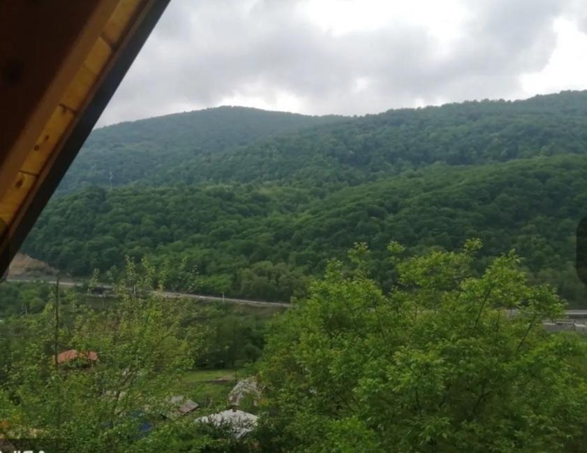 کلبه سوئیسی دوبلکس آلپ