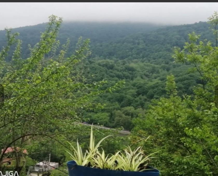 کلبه سوئیسی دوبلکس آلپ