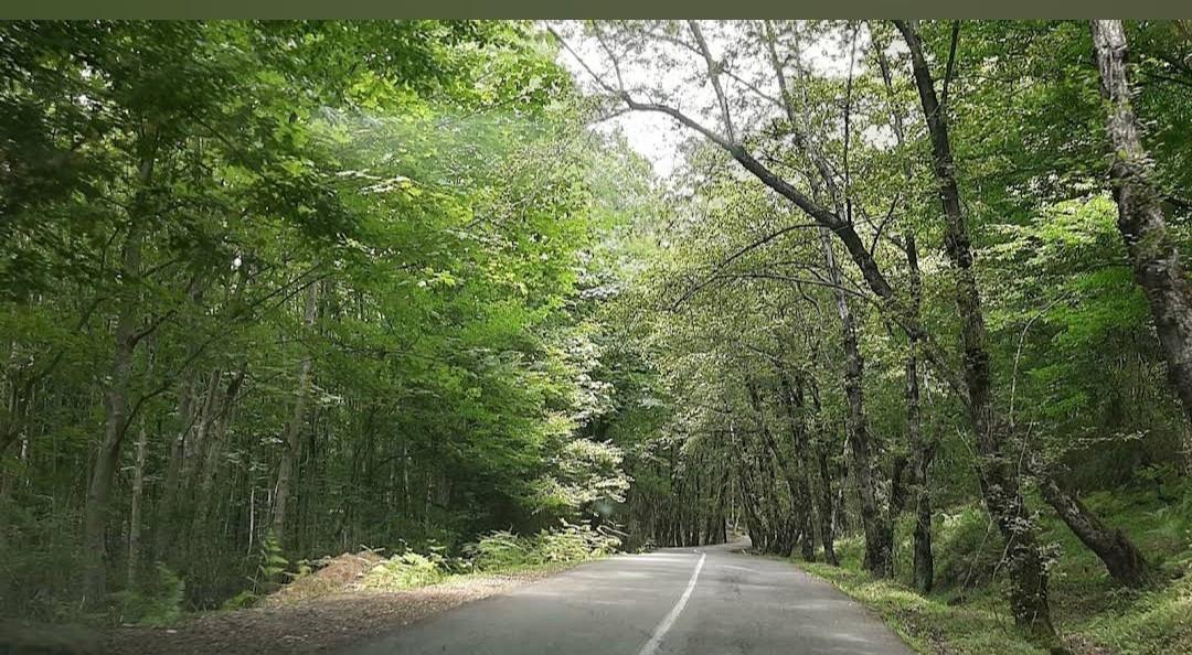 اقامتگاه بومگردی در تنکابن