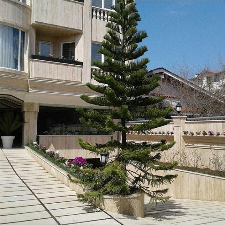 آپارتمان دو خوابه آنالی