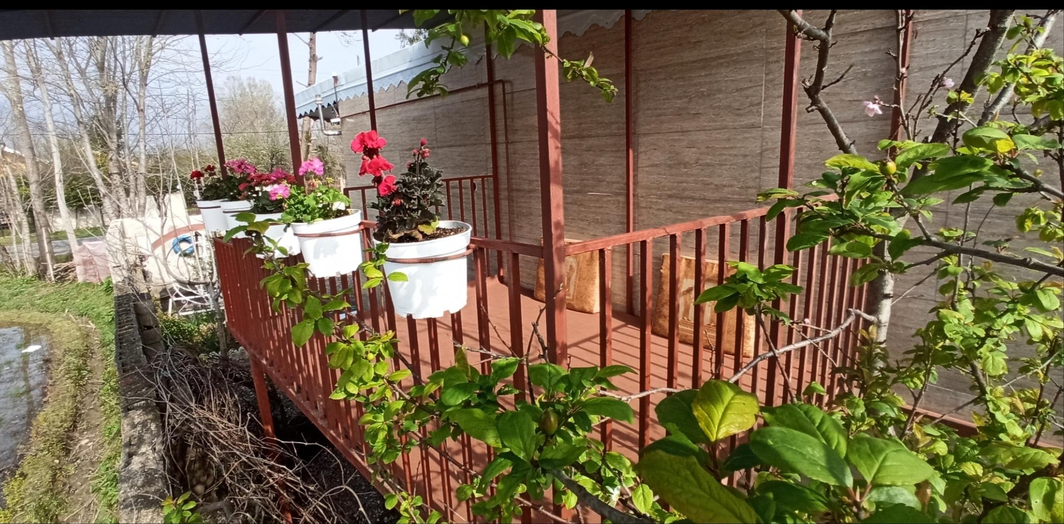 ویلای شالیزار فومن