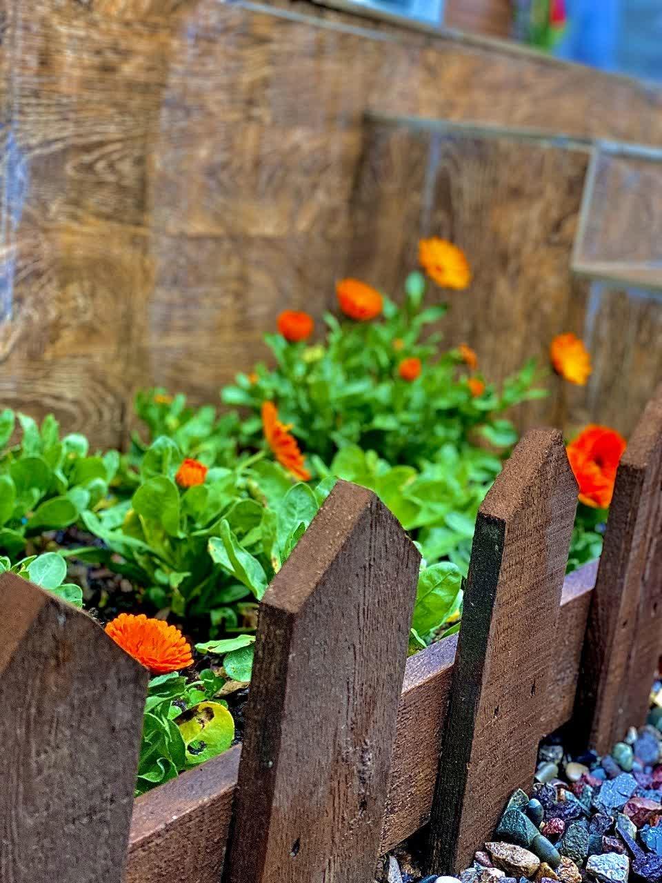 کلبه چوبی دوخوابه ملودی