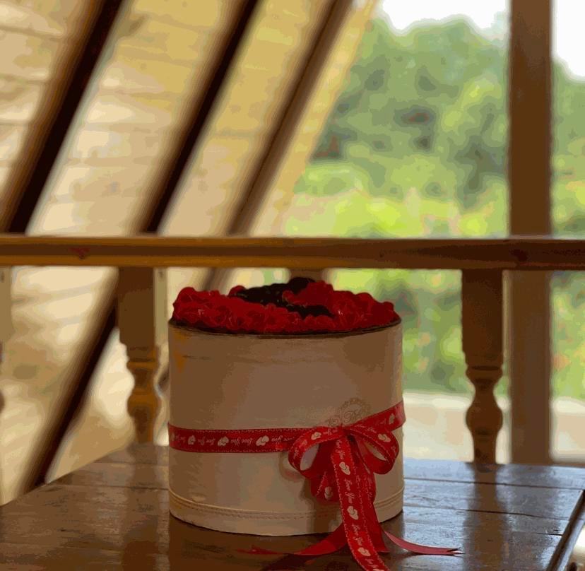 کلبه سوئیسی تک خواب سولین