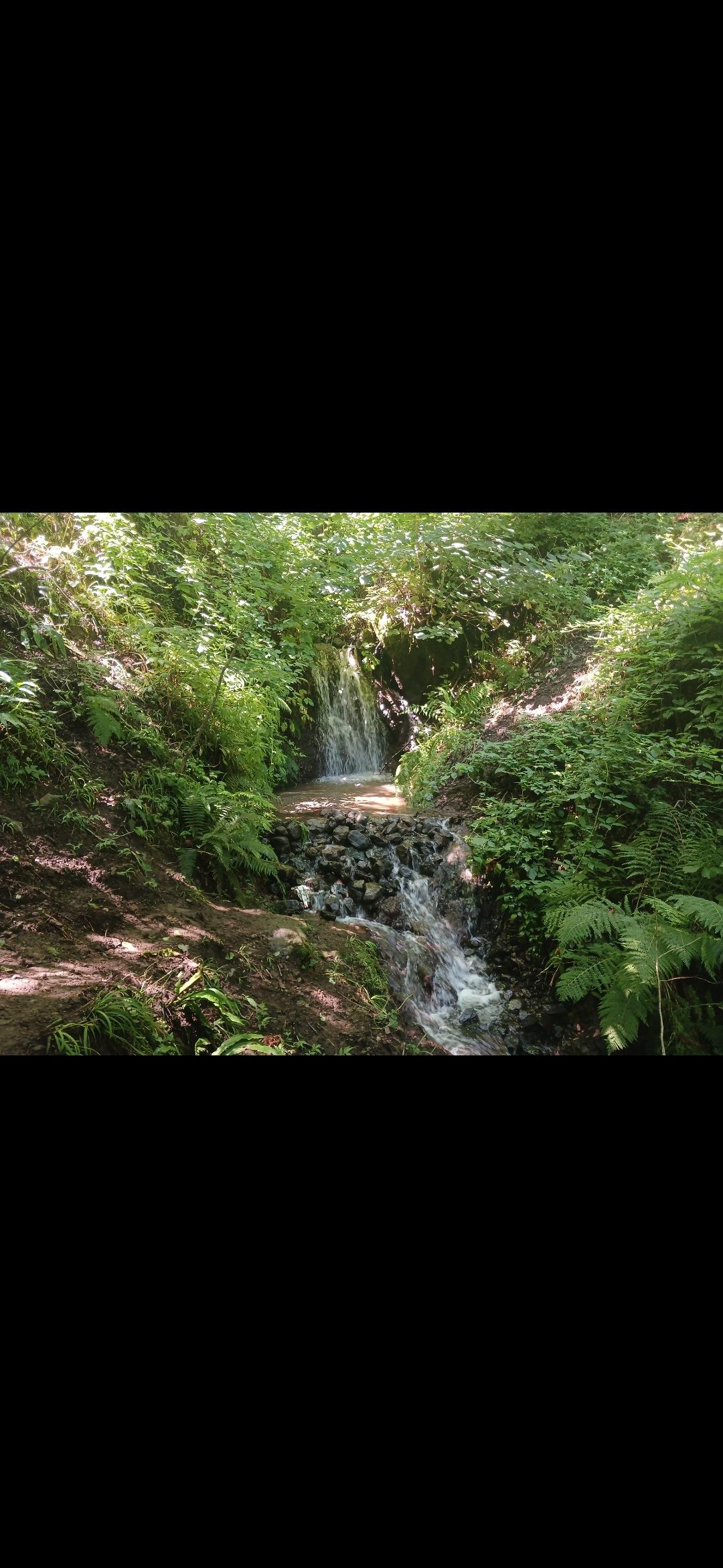 ویلای جنگلی گردنه حیران