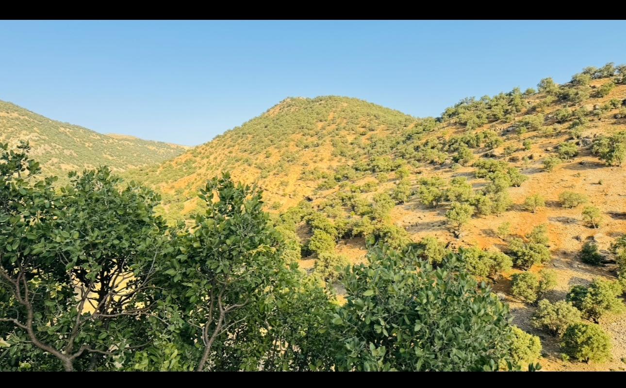 ویلایی دوبلکس قلات