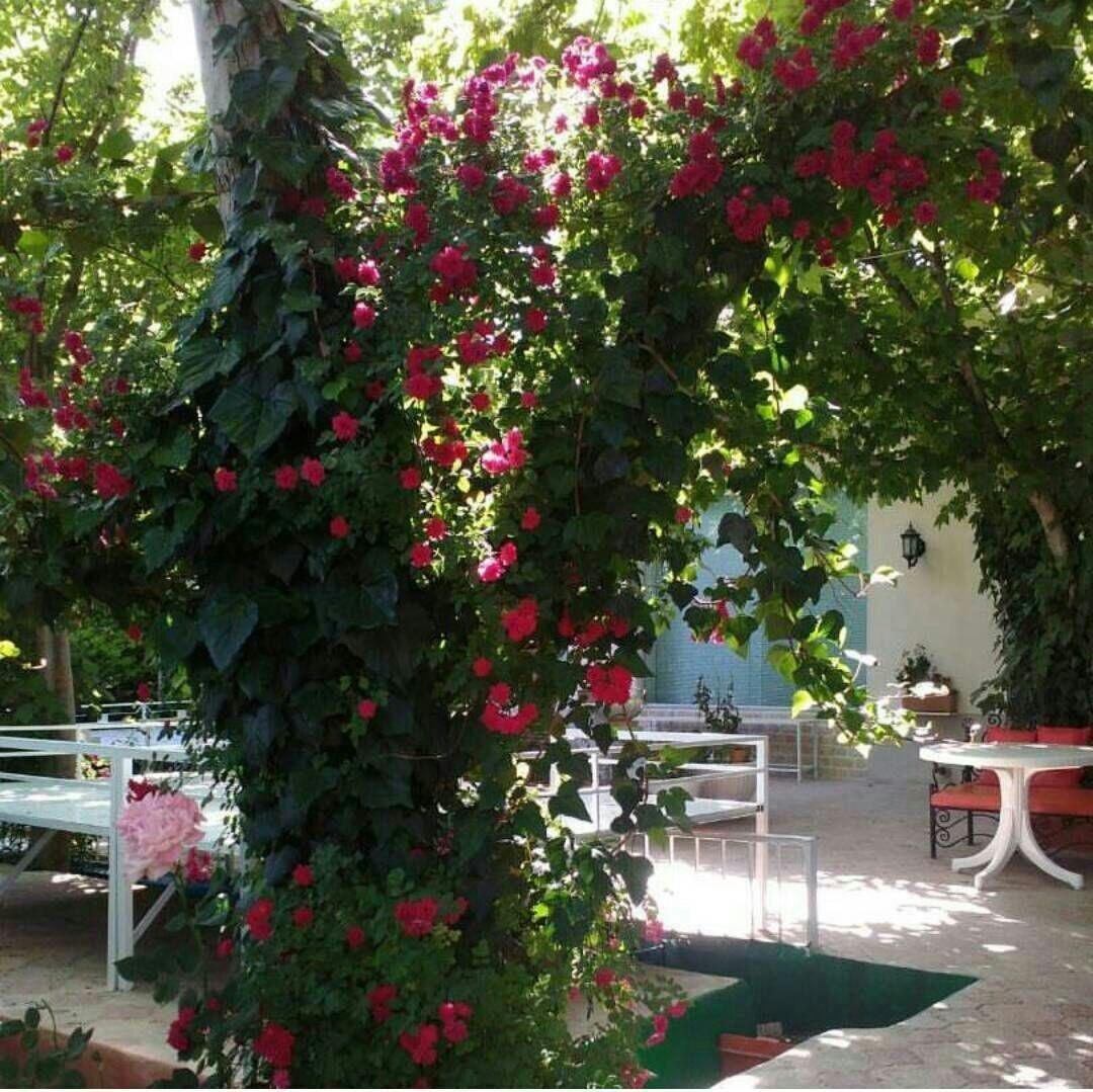 اقامتگاه بوم گردی در ارسنجان