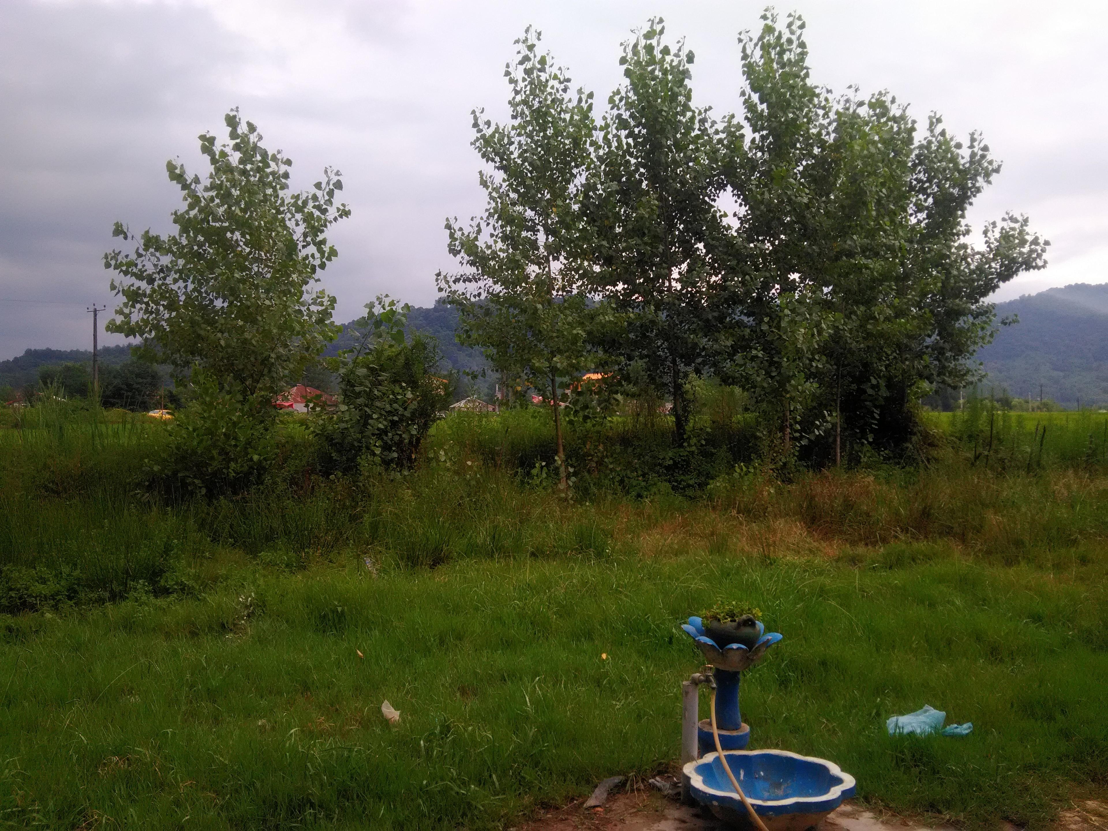 اجاره کلبه چوبی وسط جنگل