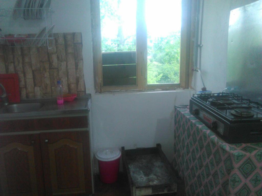 اجاره کلبه جنگلی در سوادکوه