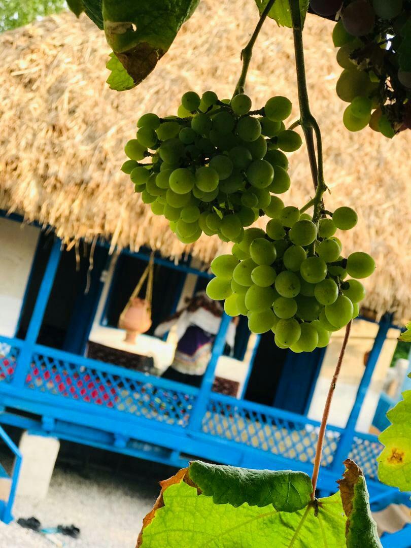 بوم گردی لاهیجان