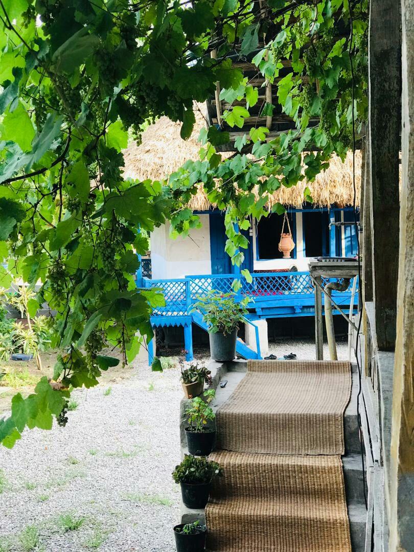بوم گردی لاهیجان