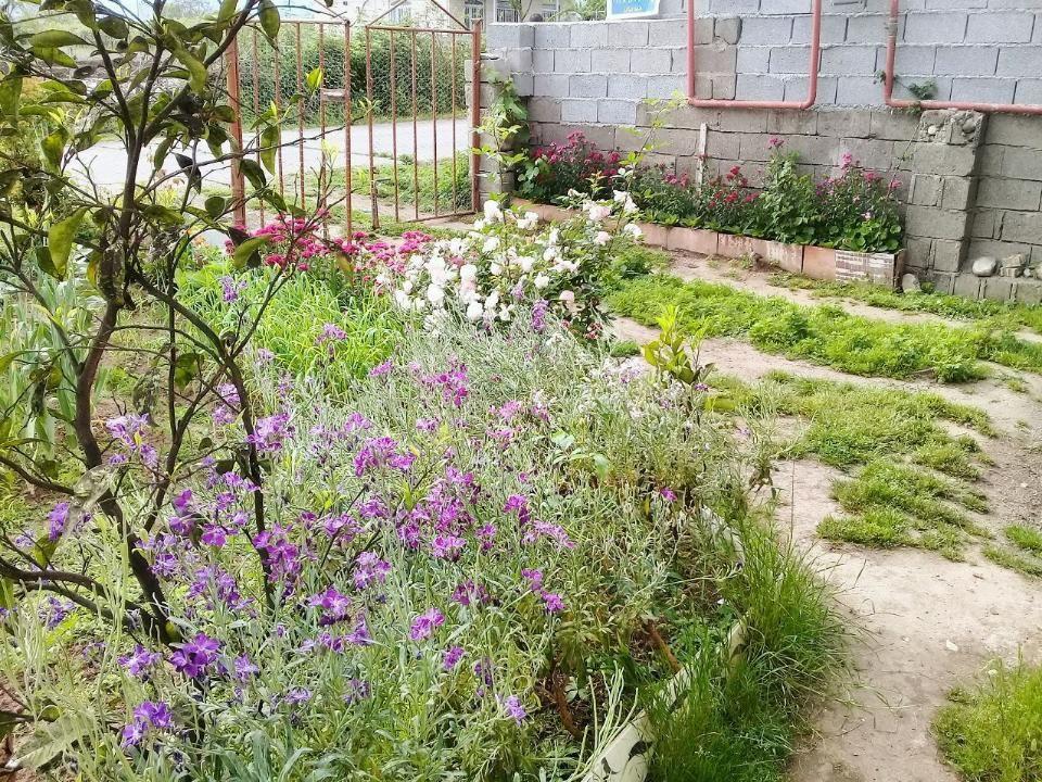 سوئیت نقلی در ساحل لیسار تالش