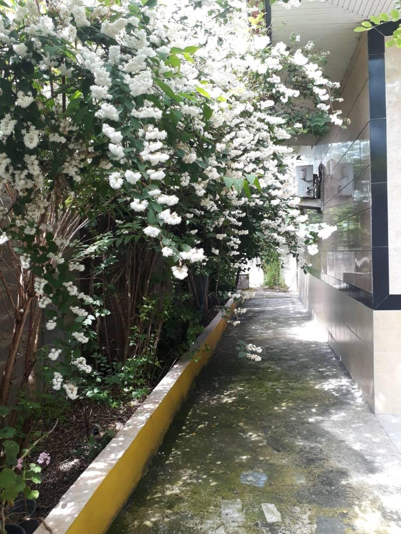 اجاره منزل روزانه در رشت