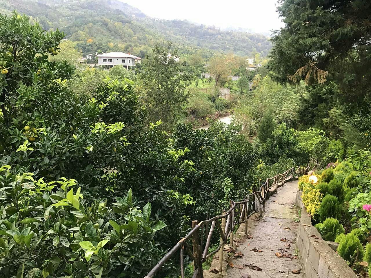 ویلا اجاره ای رامسر جنگلی