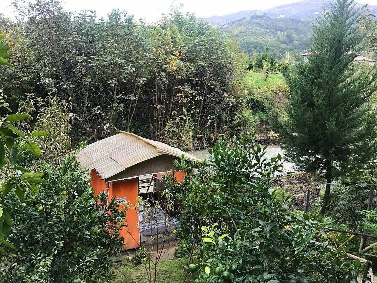 ویلا اجاره ای رامسر جنگلی