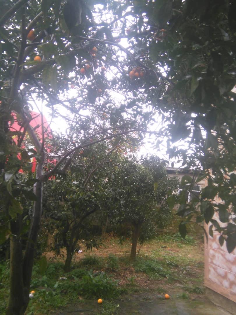 اجاره روزانه خانه در لنگرود