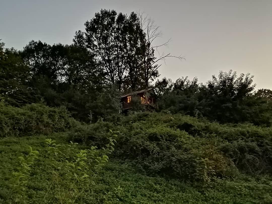 اجاره کلبه چوبی جنگلی در لاهیجان