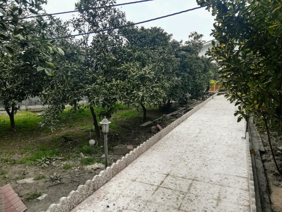 باغ ویلای دربست در تالش