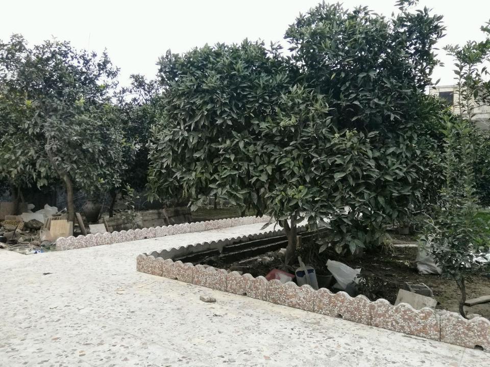 باغ ویلای دربست در تالش