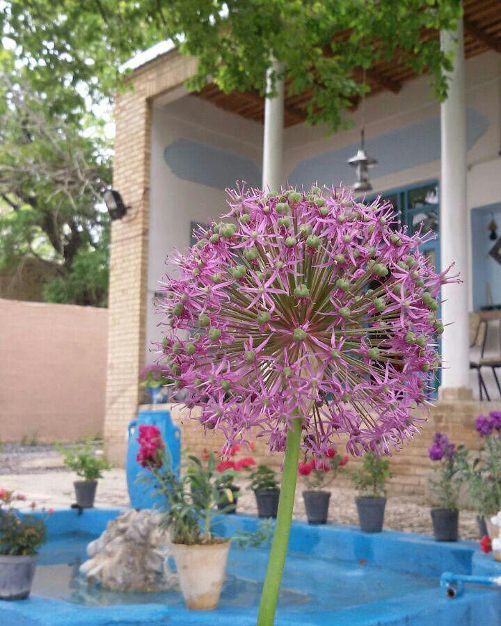 اتاق 3