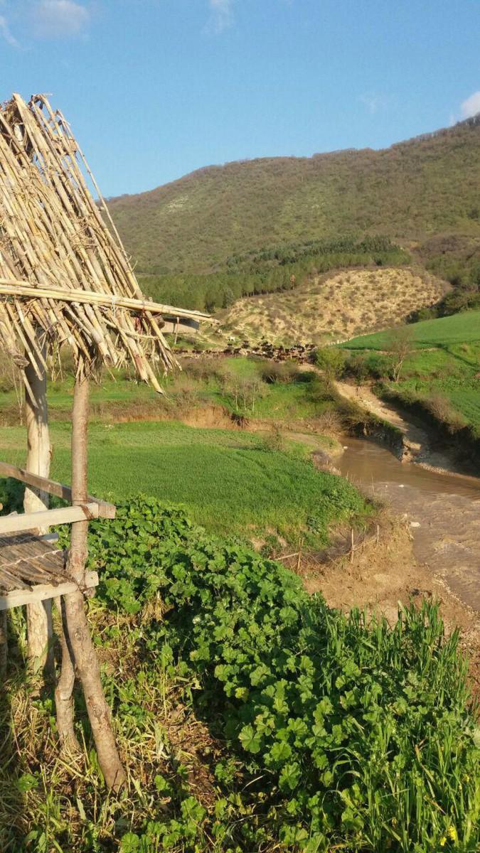 اتاق سنتی 1