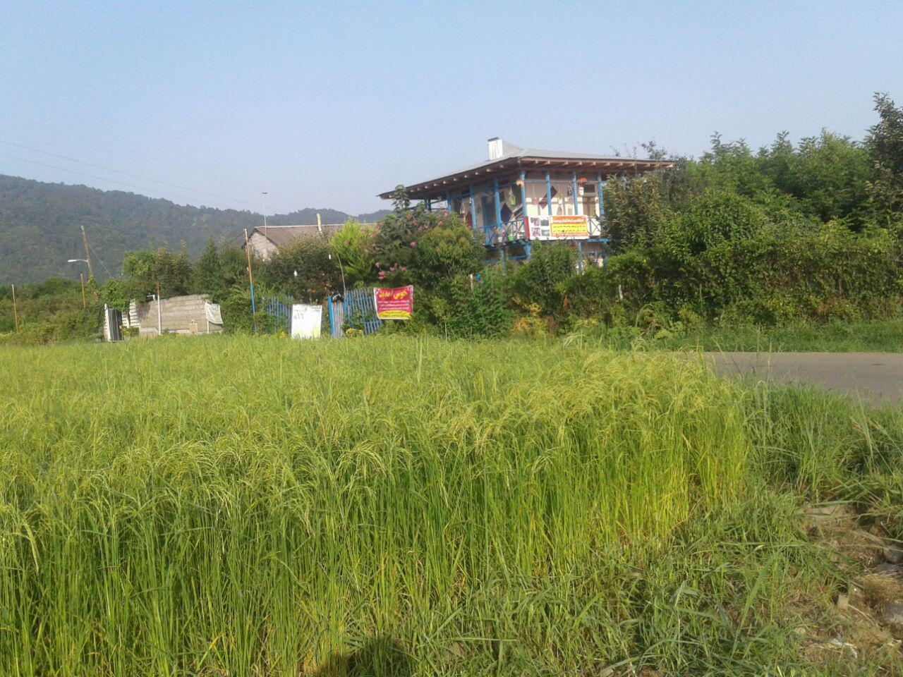 بوم گردی در چابکسر