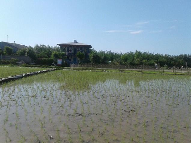 بوم گردی در چابکسر