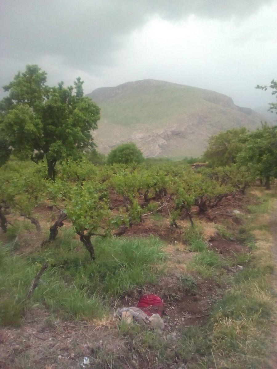 اتاق سنتی 2