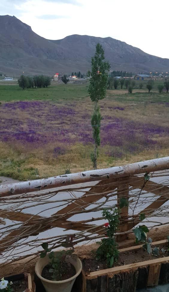 بوم گردی فیروزکوه