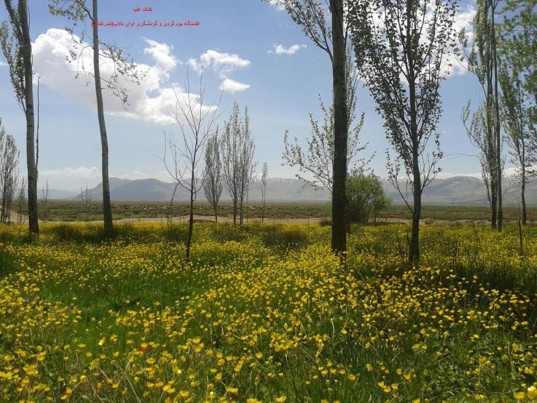 اقامتگاه بوم گردی در بروجن
