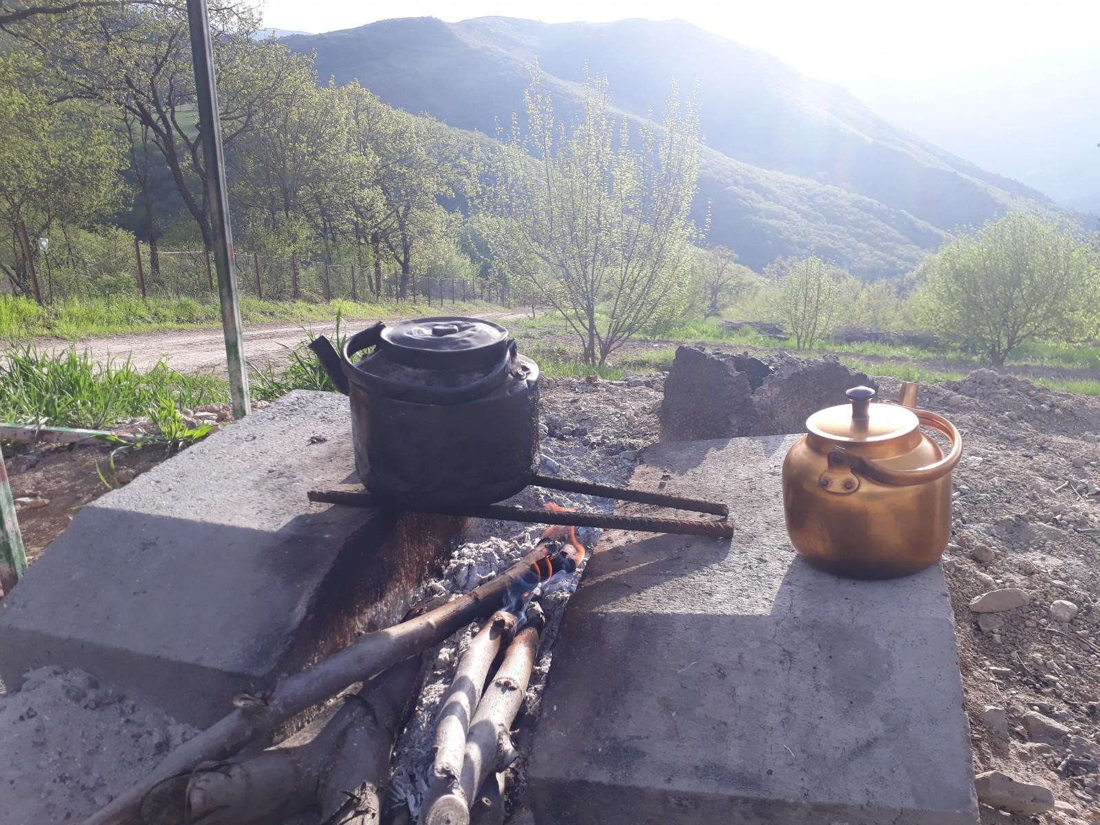 سوییت جنگلی کلیبر4